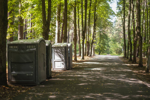 Best Affordable portable toilet rental  in Newton, MS